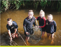 Four children standing in a stream. One is holding a net.