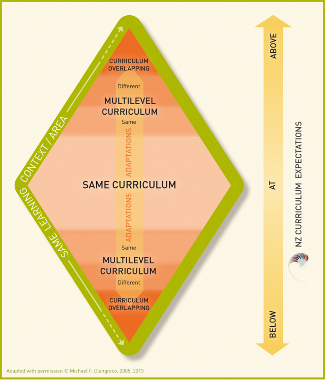 Differentiation within the classroom curriculum.
