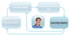 Learning inquiry icon.