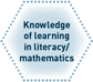 Knowledge of learning in literacy/mathematics