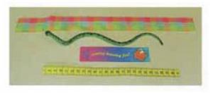 Ruler bookmark and snake image.