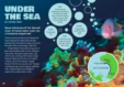 Under the Sea article