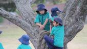 Students in a tree.