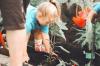 Child planting a small tree