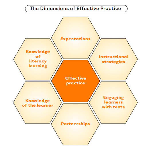 Dimensions of effective practice