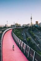Cyclist on pink bridge with Sky Tower in the background.