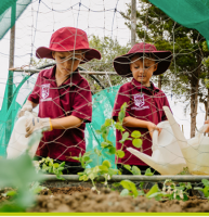 Two children in red school uniforms and hats water plants with watering cans.