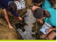 Three children study a rock pool. One child is pointing at the rock pool.