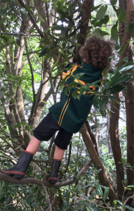 Kaimai School student climbing a tree.