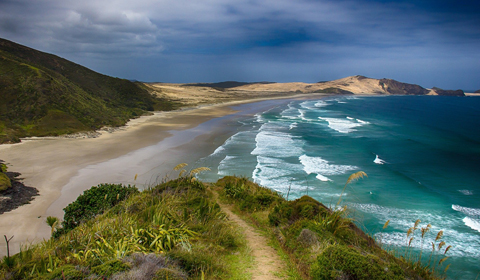 NZ coastline.