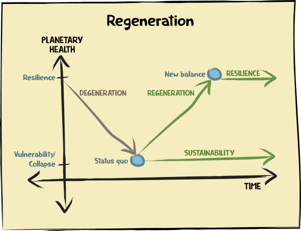 Regeneration diagram