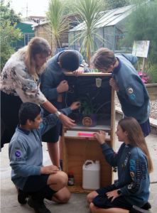 Students and a teacher view the self-watering plant system.
